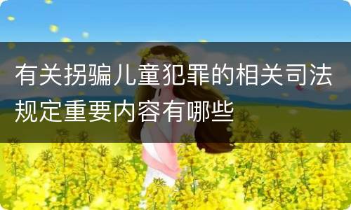 有关拐骗儿童犯罪的相关司法规定重要内容有哪些