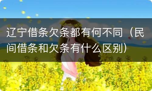 辽宁借条欠条都有何不同（民间借条和欠条有什么区别）