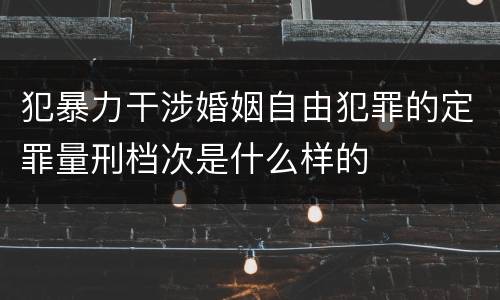 犯暴力干涉婚姻自由犯罪的定罪量刑档次是什么样的