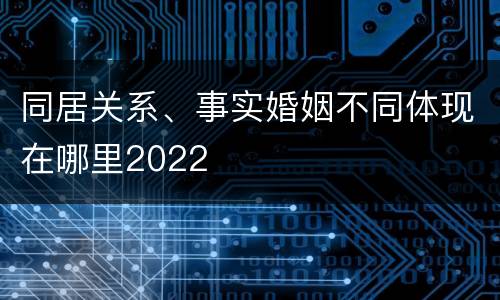 同居关系、事实婚姻不同体现在哪里2022