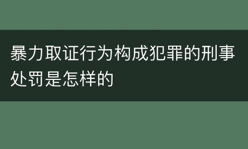 暴力取证行为构成犯罪的刑事处罚是怎样的
