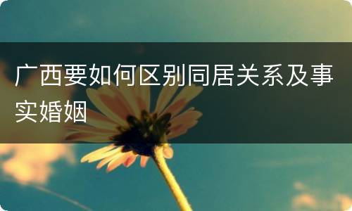 广西要如何区别同居关系及事实婚姻