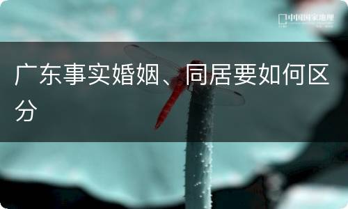广东事实婚姻、同居要如何区分
