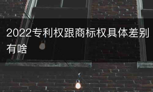 2022专利权跟商标权具体差别有啥