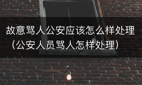 故意骂人公安应该怎么样处理（公安人员骂人怎样处理）