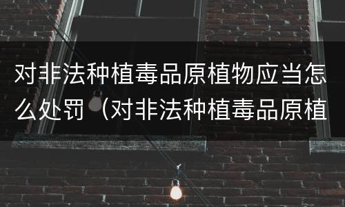 对非法种植毒品原植物应当怎么处罚（对非法种植毒品原植物的政府应采取什么措施）
