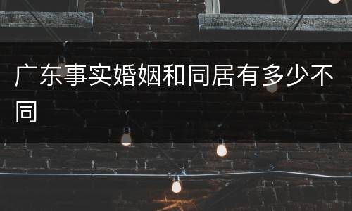广东事实婚姻和同居有多少不同