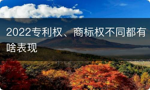 2022专利权、商标权不同都有啥表现