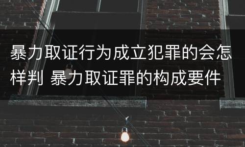 暴力取证行为成立犯罪的会怎样判 暴力取证罪的构成要件