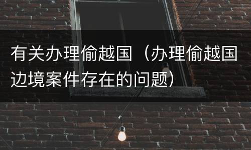 有关办理偷越国（办理偷越国边境案件存在的问题）