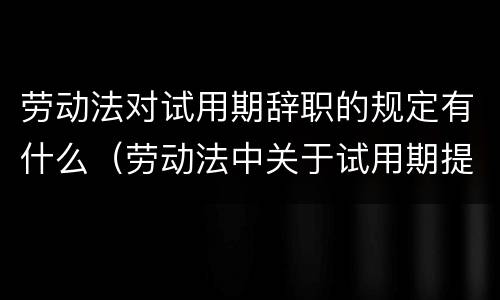 劳动法对试用期辞职的规定有什么（劳动法中关于试用期提出辞职的规定）