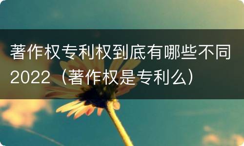 著作权专利权到底有哪些不同2022（著作权是专利么）