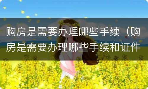 购房是需要办理哪些手续（购房是需要办理哪些手续和证件）