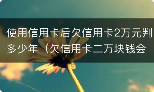 使用信用卡后欠信用卡2万元判多少年（欠信用卡二万块钱会被判吗）