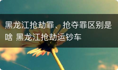 黑龙江抢劫罪、抢夺罪区别是啥 黑龙江抢劫运钞车