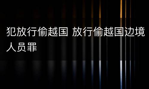 犯放行偷越国 放行偷越国边境人员罪