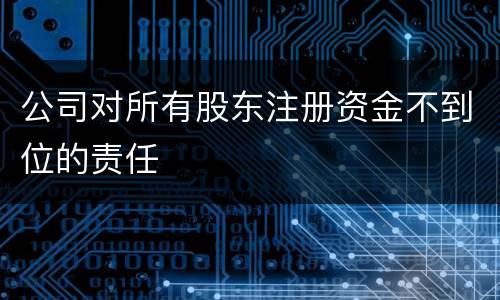 公司对所有股东注册资金不到位的责任