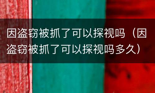 因盗窃被抓了可以探视吗（因盗窃被抓了可以探视吗多久）