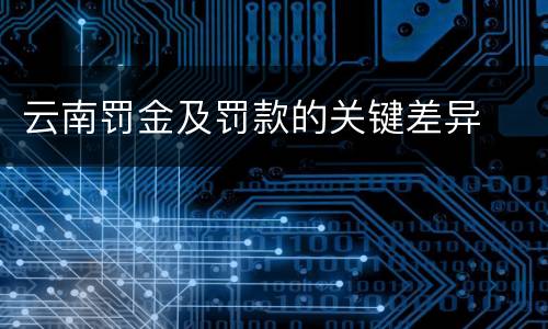 云南罚金及罚款的关键差异