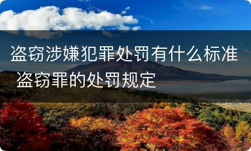 盗窃涉嫌犯罪处罚有什么标准 盗窃罪的处罚规定