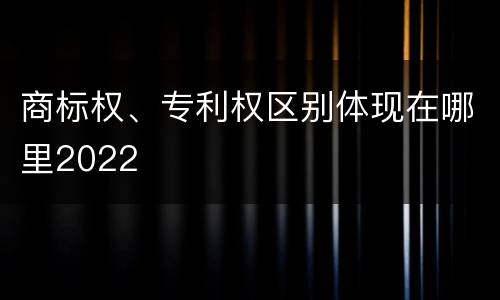 商标权、专利权区别体现在哪里2022