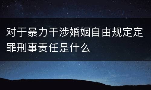 对于暴力干涉婚姻自由规定定罪刑事责任是什么