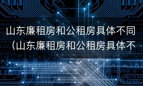 山东廉租房和公租房具体不同（山东廉租房和公租房具体不同之处）