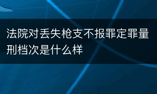 法院对丢失枪支不报罪定罪量刑档次是什么样