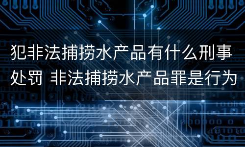 犯非法捕捞水产品有什么刑事处罚 非法捕捞水产品罪是行为犯吗