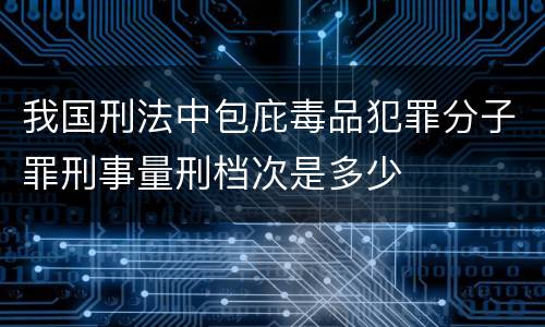 我国刑法中包庇毒品犯罪分子罪刑事量刑档次是多少