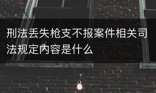 刑法丢失枪支不报案件相关司法规定内容是什么