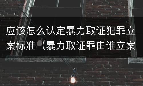 应该怎么认定暴力取证犯罪立案标准（暴力取证罪由谁立案侦查）