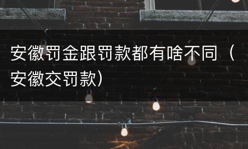 安徽罚金跟罚款都有啥不同（安徽交罚款）