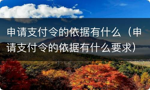 申请支付令的依据有什么（申请支付令的依据有什么要求）