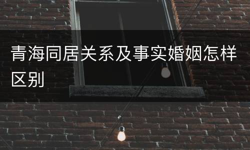 青海同居关系及事实婚姻怎样区别