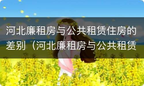 河北廉租房与公共租赁住房的差别（河北廉租房与公共租赁住房的差别在哪）