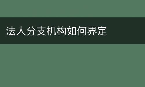 法人分支机构如何界定