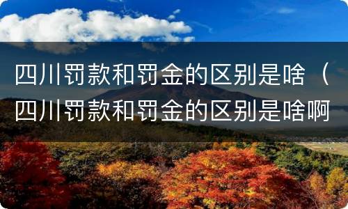 四川罚款和罚金的区别是啥（四川罚款和罚金的区别是啥啊）