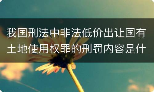 我国刑法中非法低价出让国有土地使用权罪的刑罚内容是什么