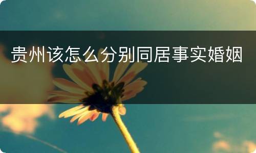 贵州该怎么分别同居事实婚姻