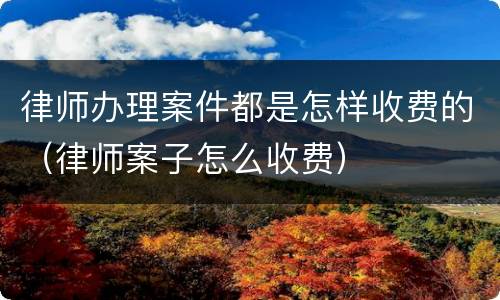 律师办理案件都是怎样收费的（律师案子怎么收费）