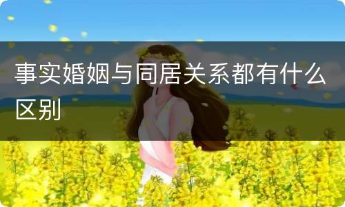事实婚姻与同居关系都有什么区别