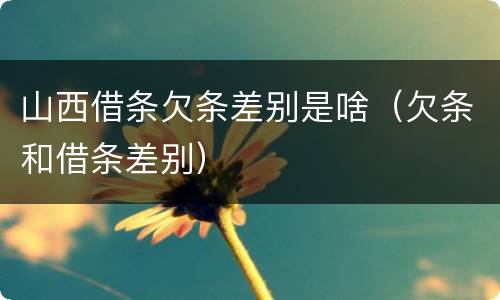 山西借条欠条差别是啥（欠条和借条差别）