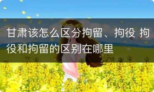 甘肃该怎么区分拘留、拘役 拘役和拘留的区别在哪里