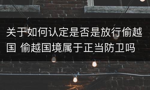 关于如何认定是否是放行偷越国 偷越国境属于正当防卫吗