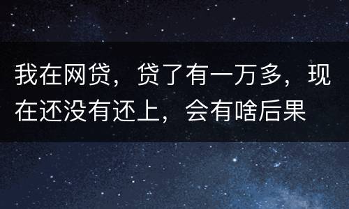 我在网贷，贷了有一万多，现在还没有还上，会有啥后果