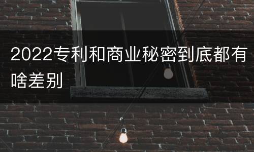 2022专利和商业秘密到底都有啥差别
