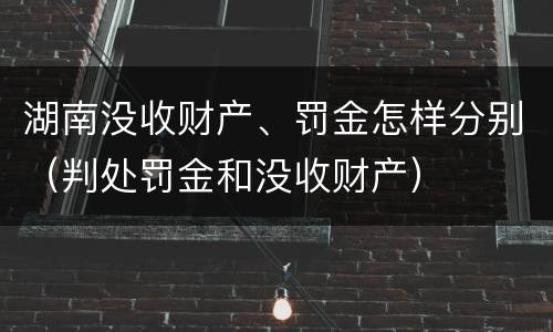 湖南没收财产、罚金怎样分别（判处罚金和没收财产）