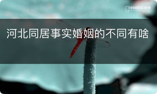河北同居事实婚姻的不同有啥