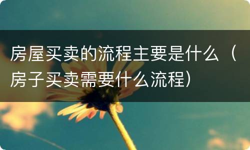房屋买卖的流程主要是什么（房子买卖需要什么流程）